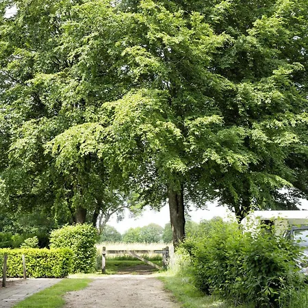 Recreatiepark Den Blanken Camping *