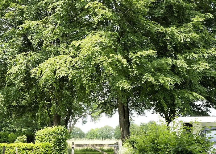 Recreatiepark Den Blanken Camping *