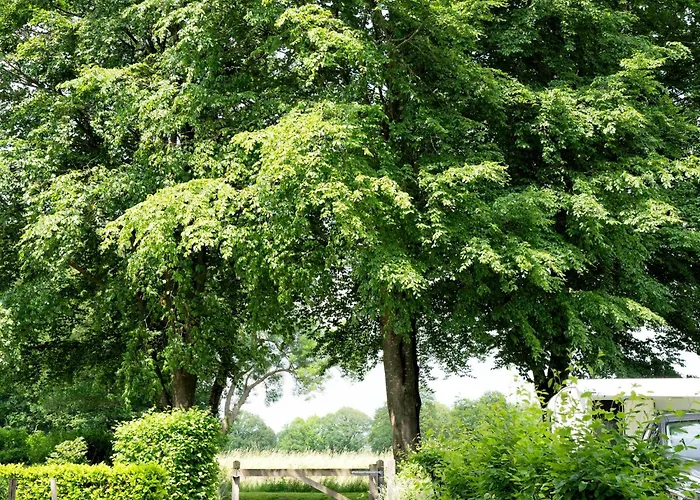 Camping Recreatiepark Den Blanken Neede